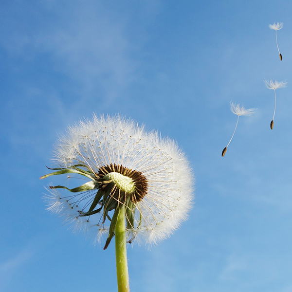 南宫NG·娱乐(中国集团)官方网站